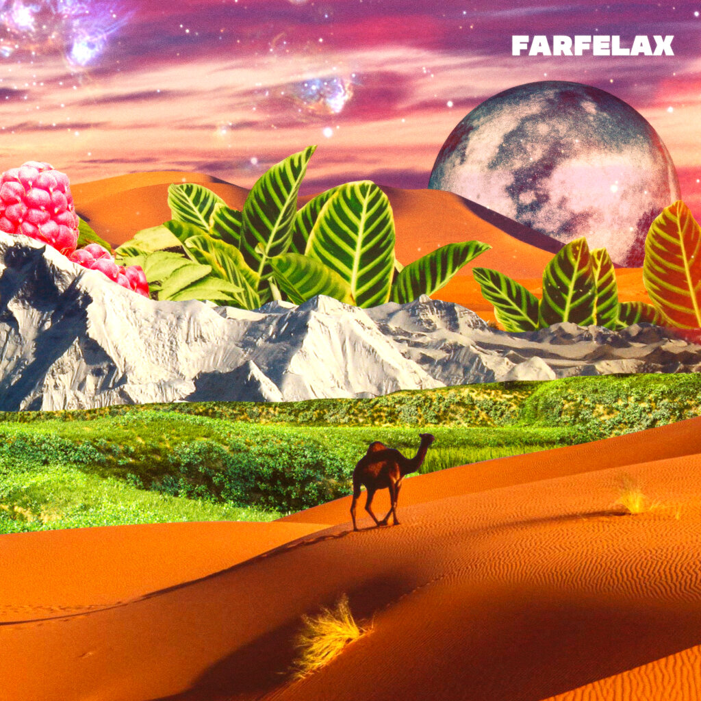 ALBUM COVERS