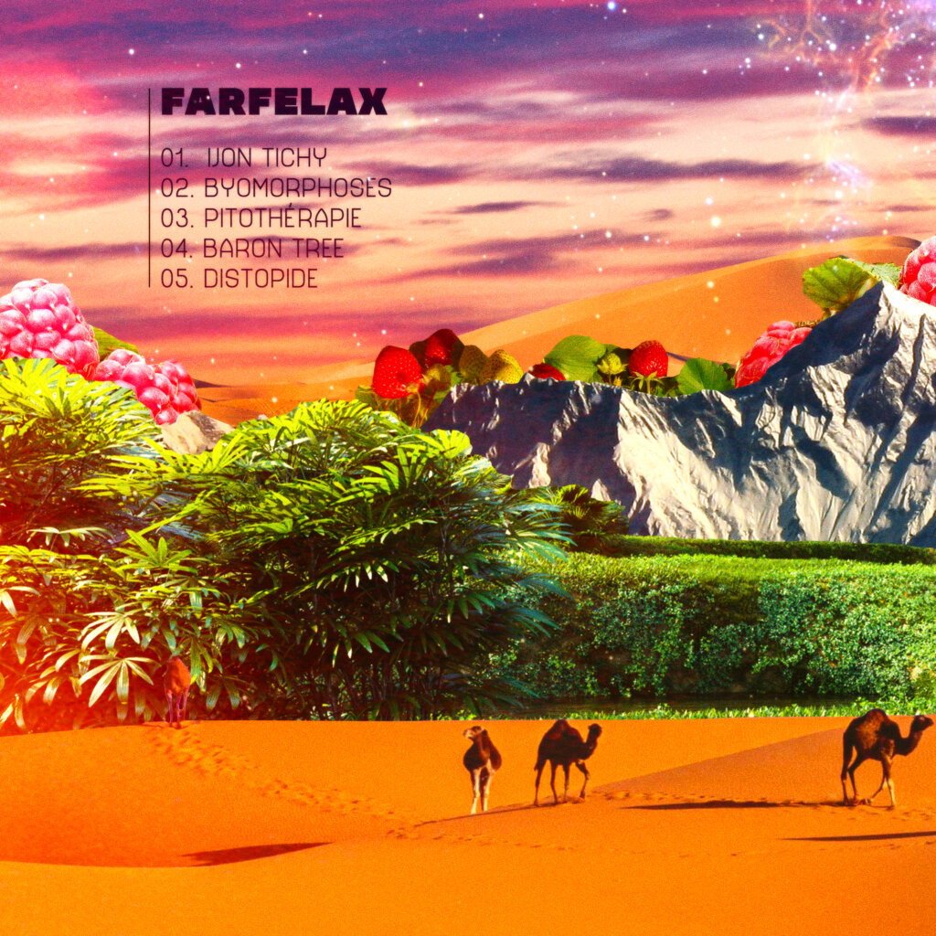ALBUM COVERS